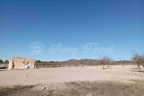Finca i Caudete, Albacete, Caudete - € 29.995 | Ref: SF0480 - foto 12
